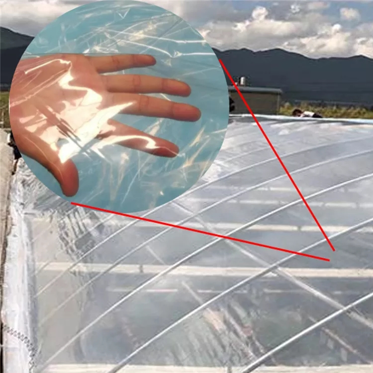 Side Ventilation, Top Steel Structure Bridge Multi Span Plastic Greenhouse