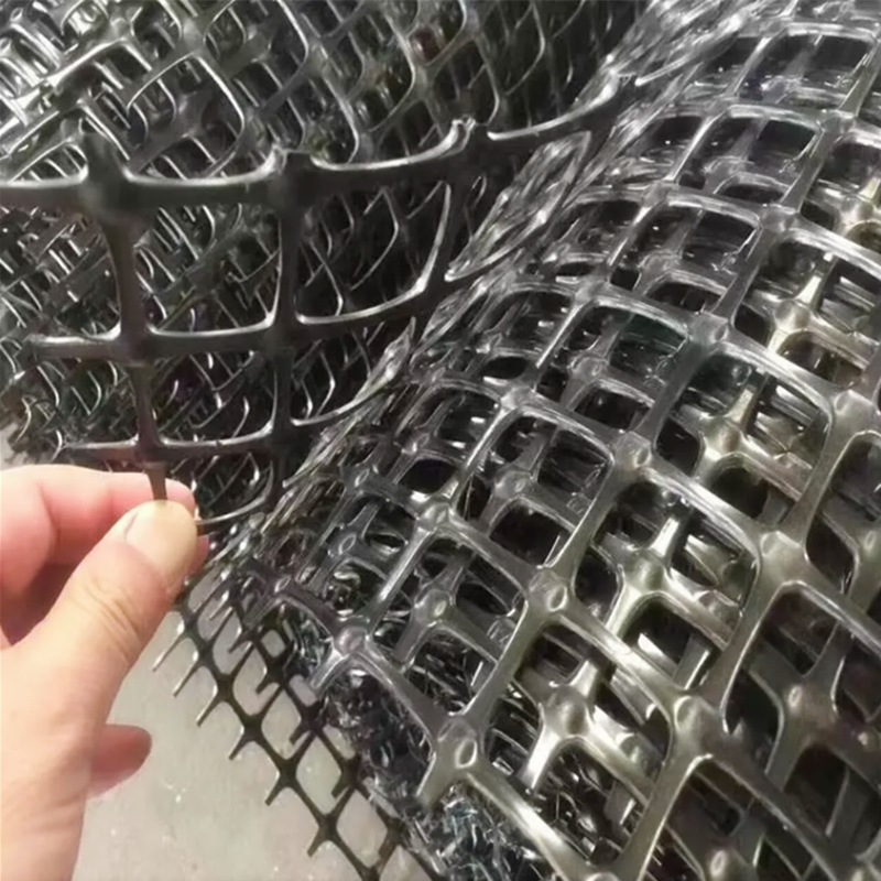Durable HDPE Geogrid 1.2m Width X 20m Length for Construction