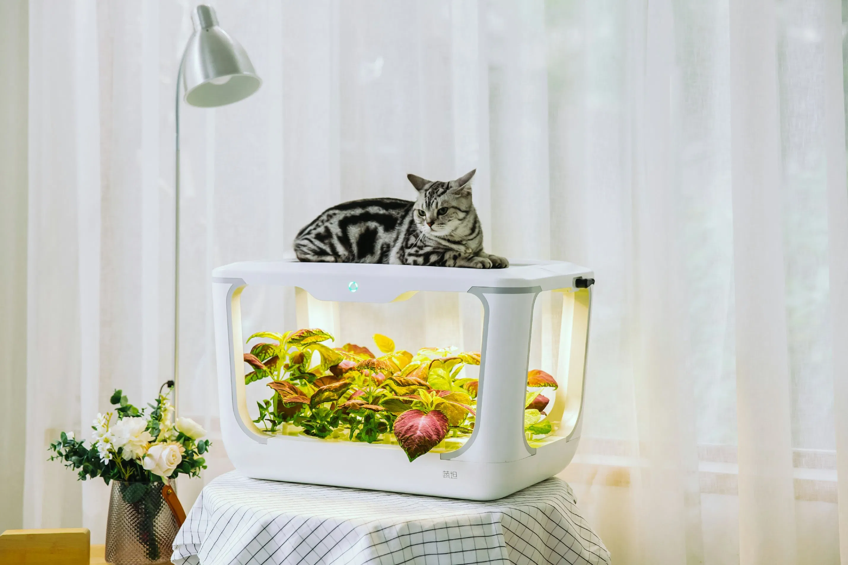 Hot Selling Hydroponic Indoor Garden System with LED Grow Lights