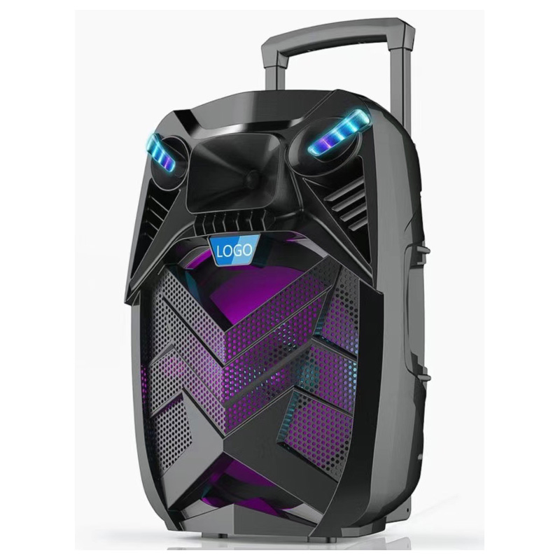 New 15 Inch Portable Plastic/ABS Trolley Speaker Box with Bluetooth and USB/SD MP3 Player