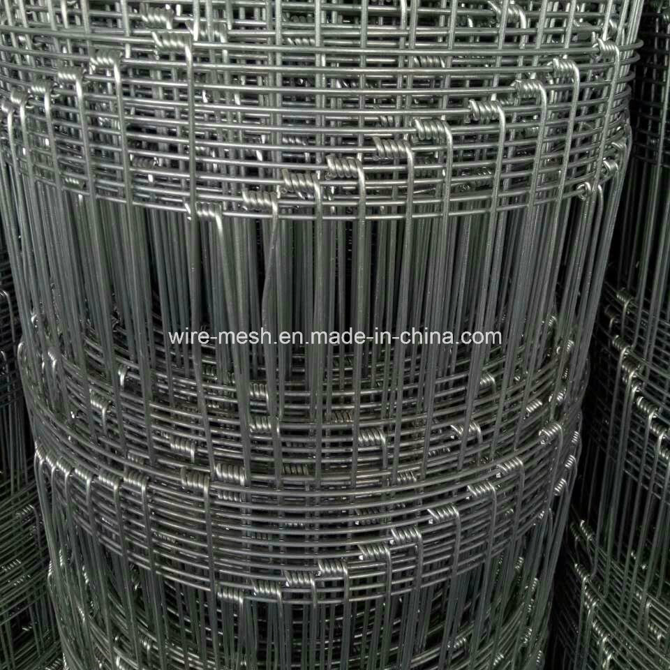 Deer Fence/Cattle Fence/Wire Mesh Fence