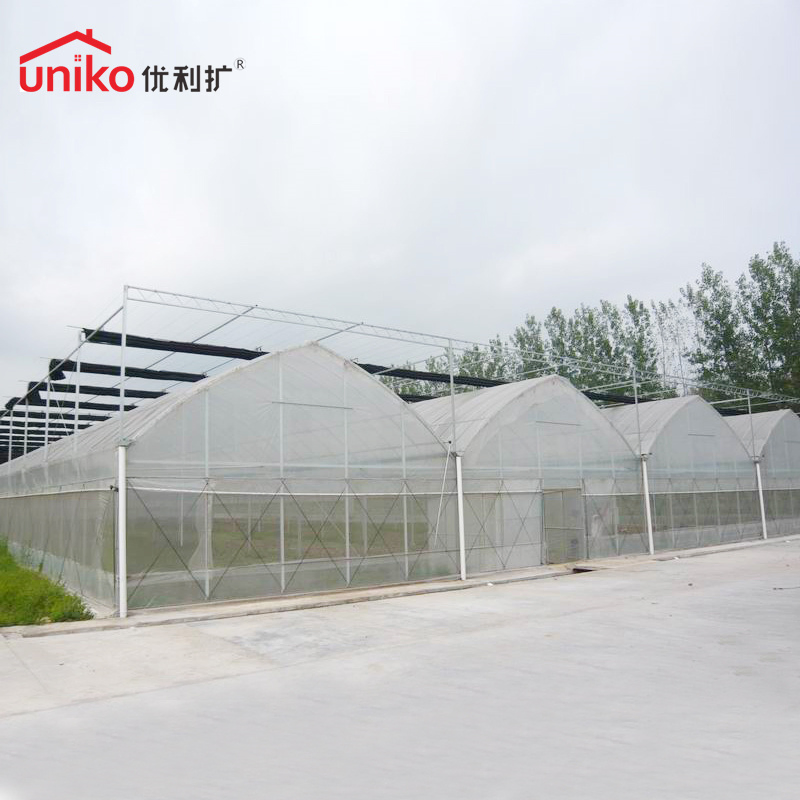 Transparent Polycarbonate Sheet with High Light Transmittance for Greenhouses Panel