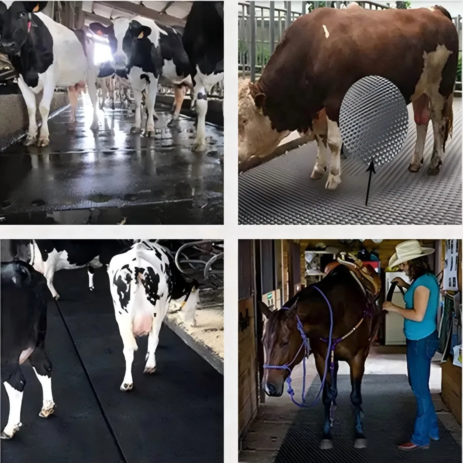 China Made Interlocking Horse Stall Mat ISO Certified 20mm Rubber Tiles