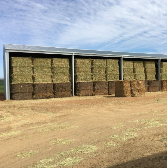 Premium Insulated Steel Dog Shelter with Hay Shed Design