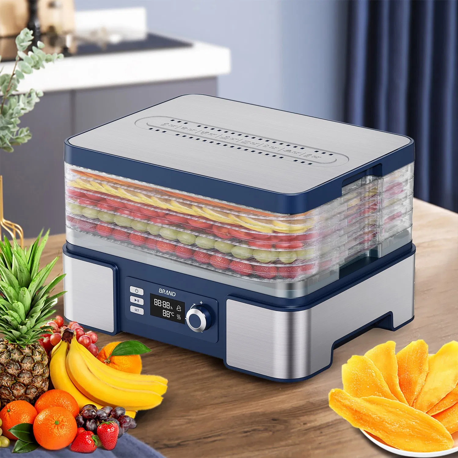 Home 24 Hour Timer Temperature Setting Machine Electric Fruit Food Dehydrator