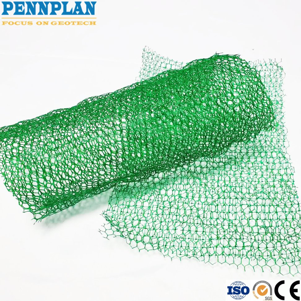 Lawn Coverage/Slope Protection/Three-Dimensional Geomat Ecological Vegetation Network