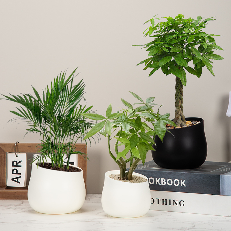 Горшок садовый пластиковый дизайнерский для растений