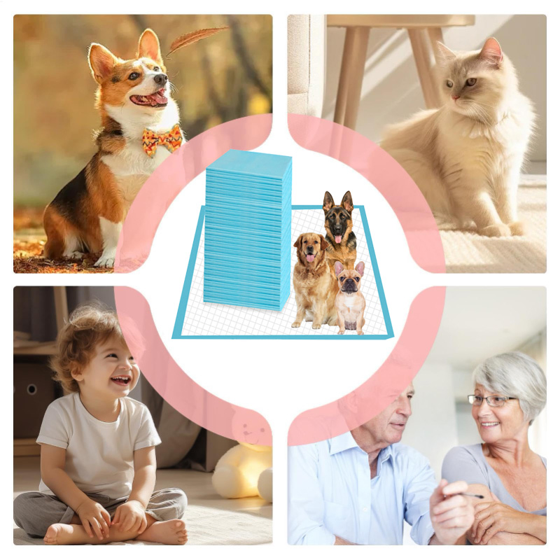 20 FT Container PE Film Customized Puppy Disposable Pet Pad