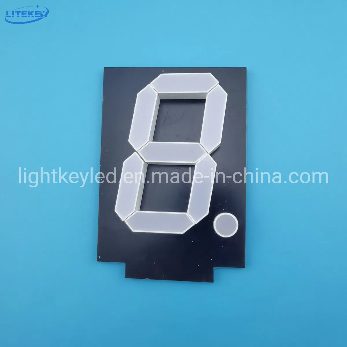 10 Inch Assembly 7 Segment LED Display with RoHS From Expert Manufacturer