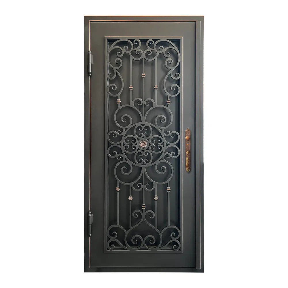 Socool OEM Modern Luxury Design Exterior Front Steel Other Door