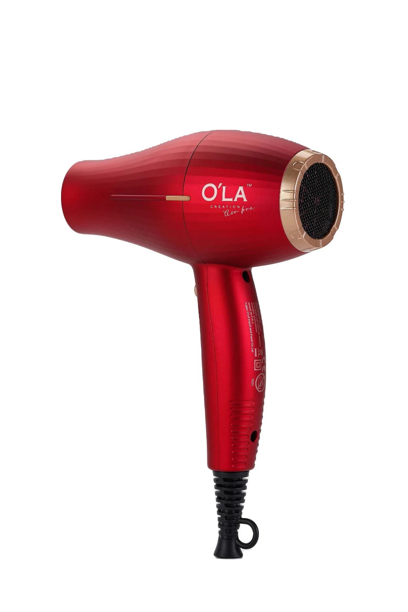 Professional High-Speed Hair Dryer with AC Motor for Salon Use