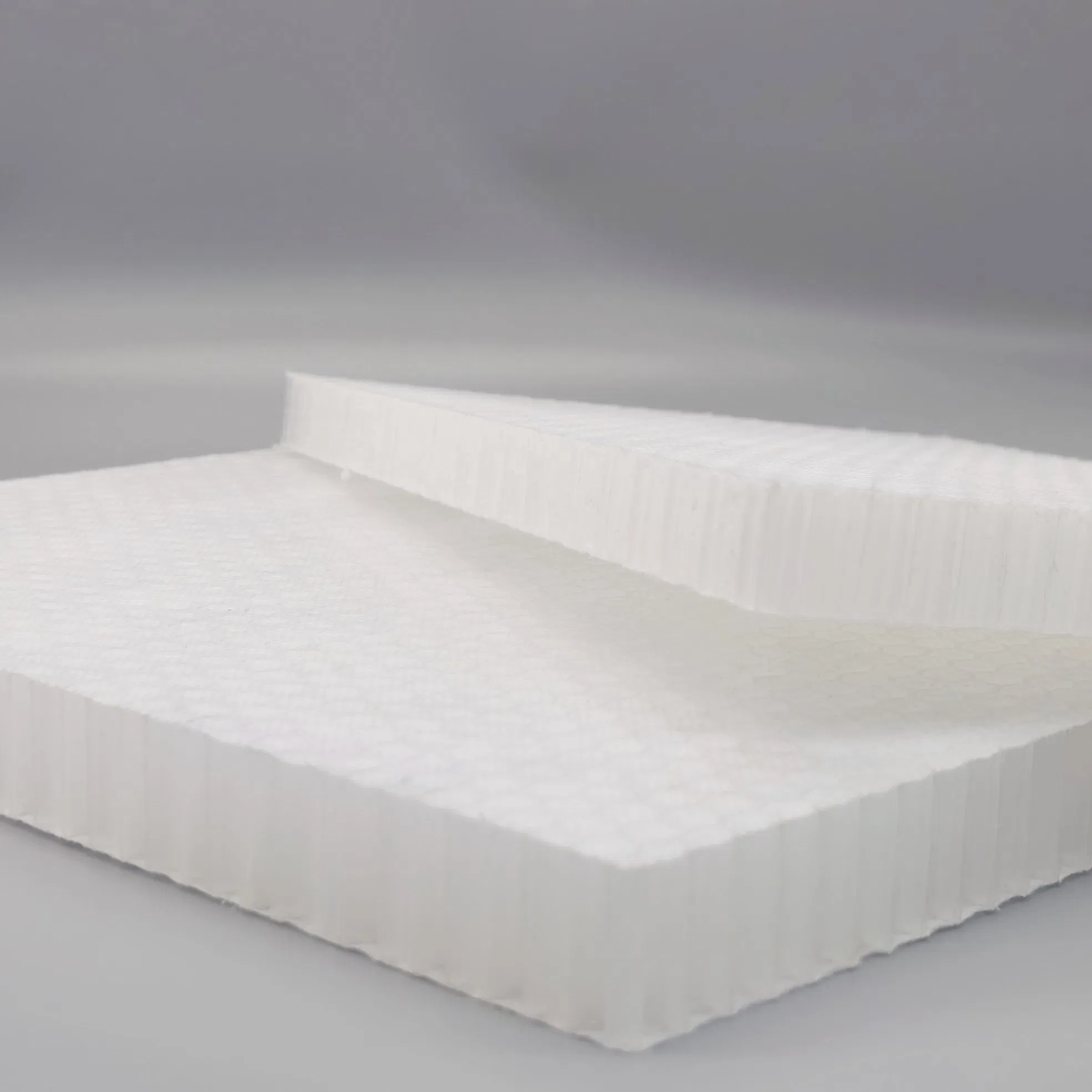 High-Strength Customizable None Woven Fabric PP Honeycomb Core for Mobile Home Subfloors
