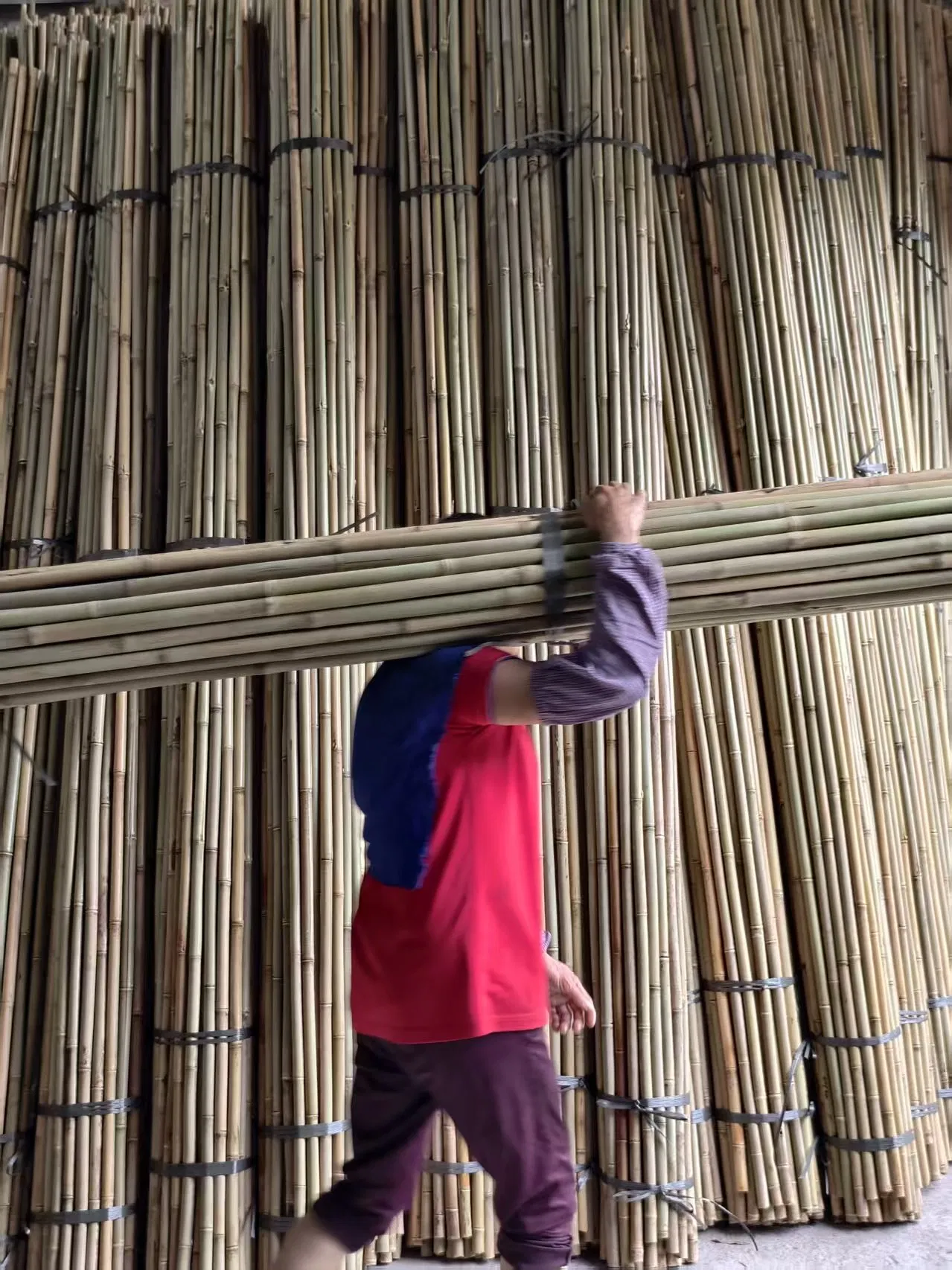 Tonkin Bamboo Pole Stake Stick Cane for Plant/Tree/Flower Support Bamboo C