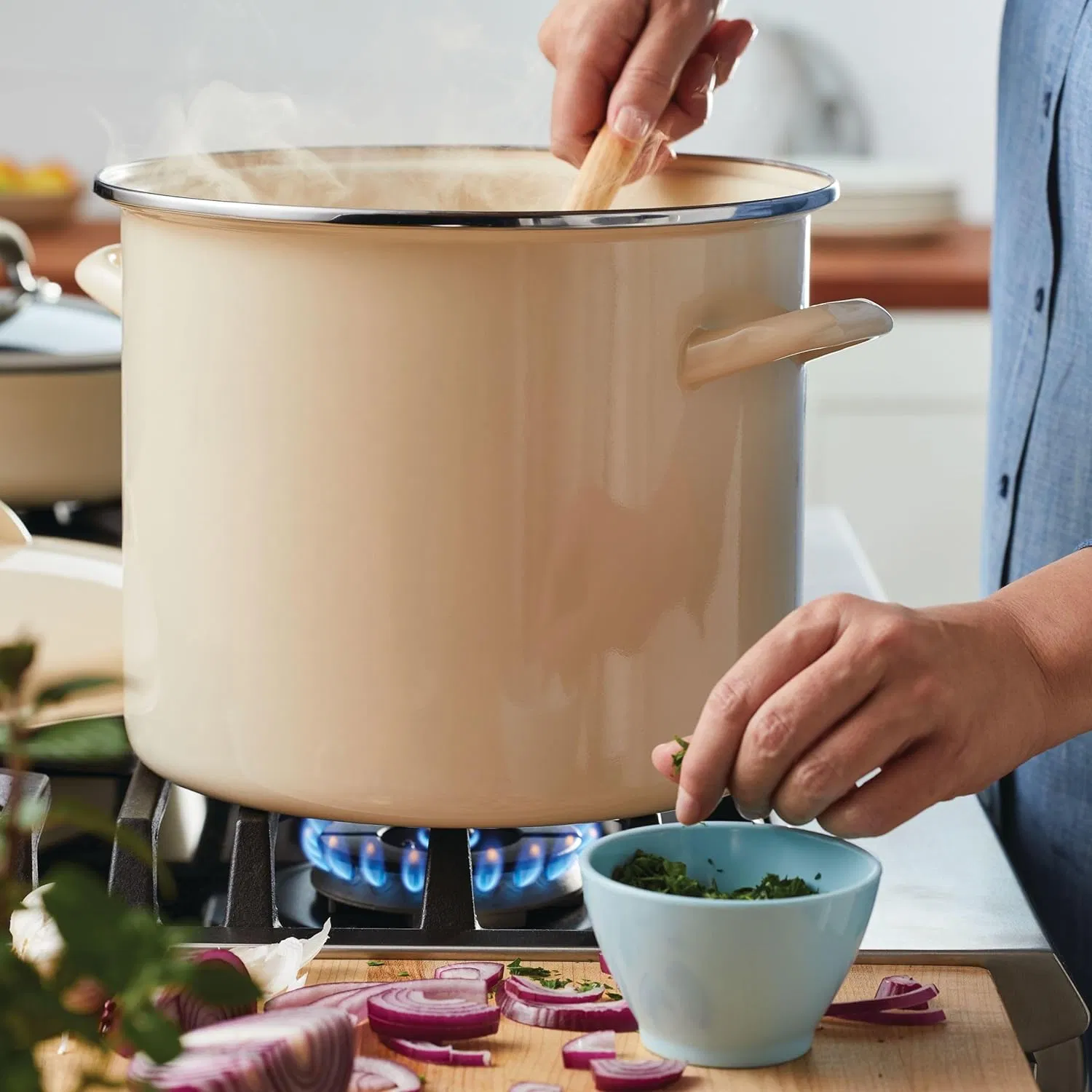 Enamel on Steel Stockpot with Lid, Induction Suitable, 12 Quart, Almond Cream