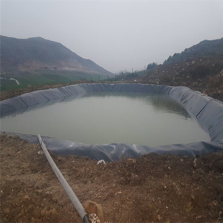 Waterproof Plastic 1.5mm HDPE Pond Liners 1mm Root Barrier Geomembrane