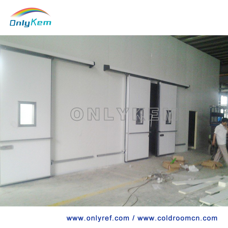 Customized Cold Storage Door Walk in Freezer Door Cold Room Sliding Door