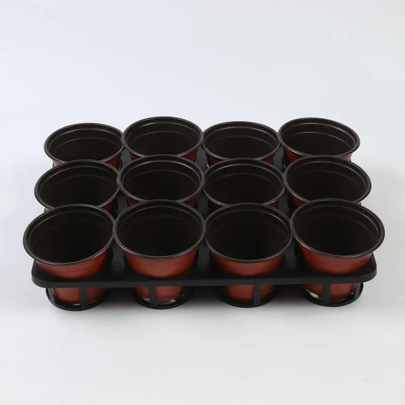 Growing Seedling Hole Tray Phalaenopsis Tray 12-Hole Flower Seedling Pot Bracket