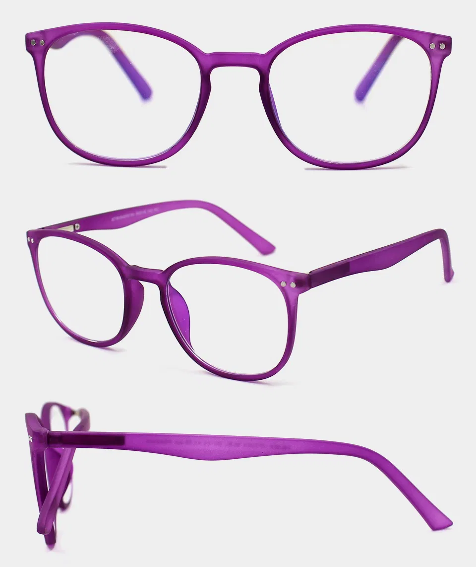 New Round Plastic Reading Glasses with Color Stripe (WRP802021)