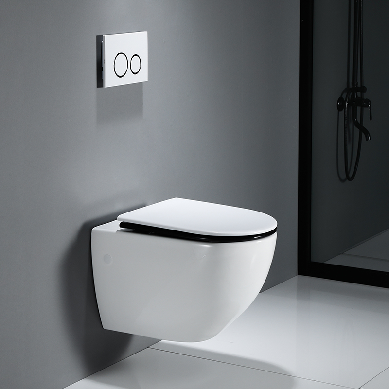 Modern Ceramic Body Wall Hung Toilet
