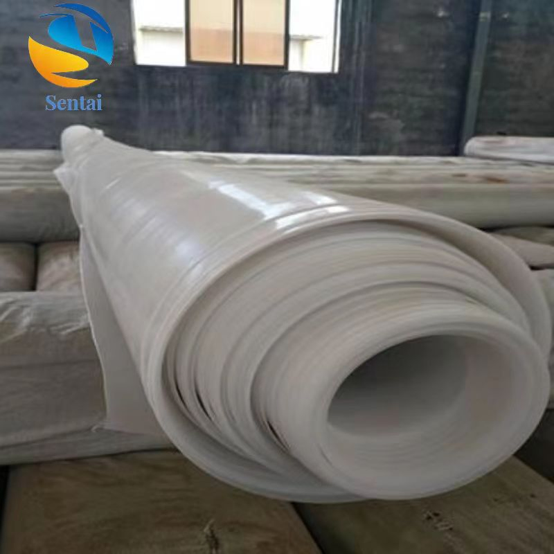 EVA Tunnel Waterproof Board Ecb White Geomembrane HDPE Anti-Seepage Membrane Liner PVC Geomembrane