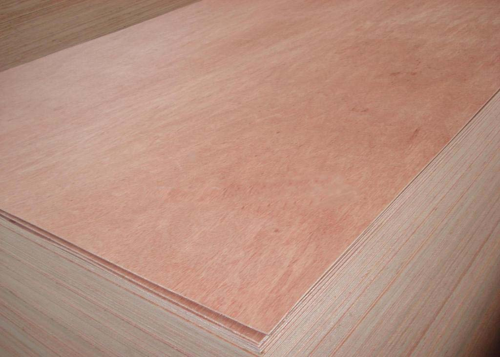 Cheaper Good Quality Bintangor Plywood Bb/Bb Grade