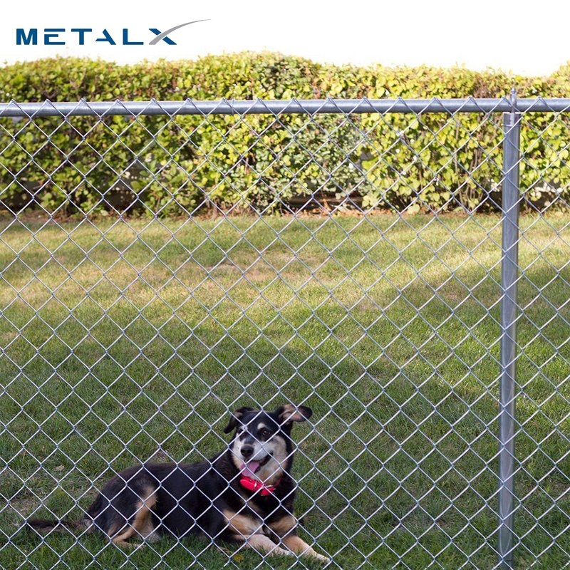 Hot DIP Galvanized ASTM F668 Standard Chain Link Fence