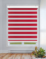 Used in Different Place and Space-Zebra Blind