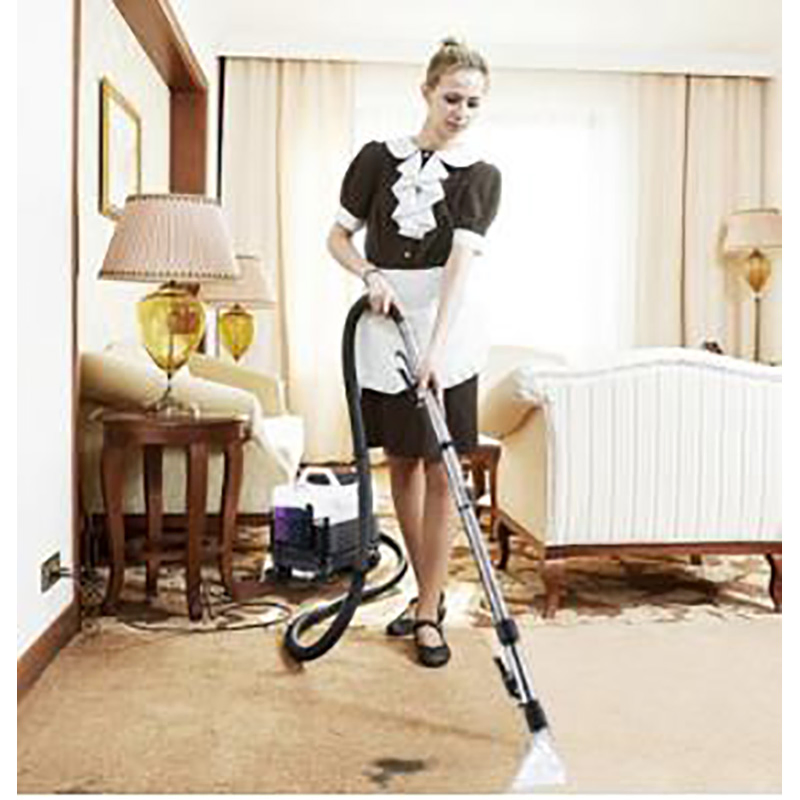 New Design Automatic Electric Portable Upholstery Cleaning/Washing Machine for Carpet/Rug/Sofa/Curtain/Cushion