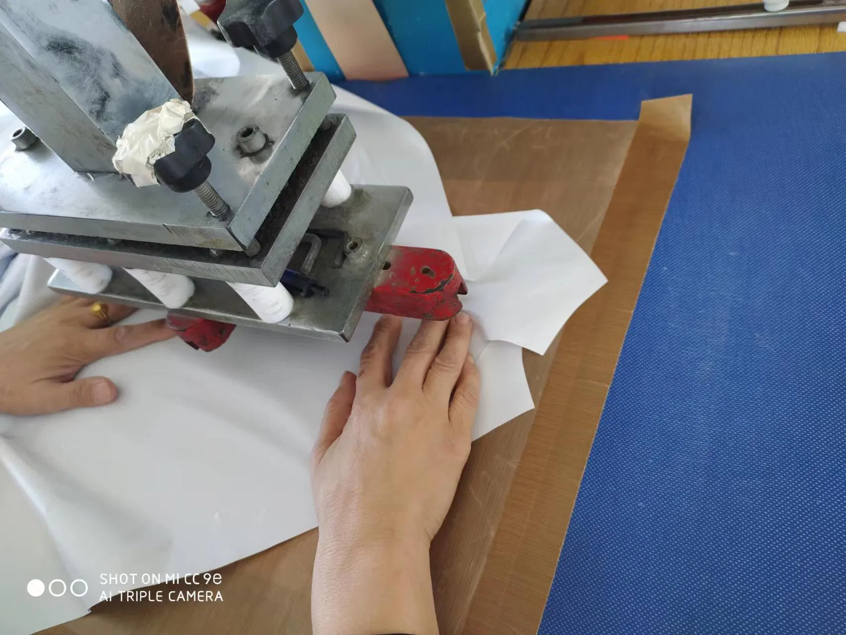 Eye Catching Inflatable Advertising Balloon