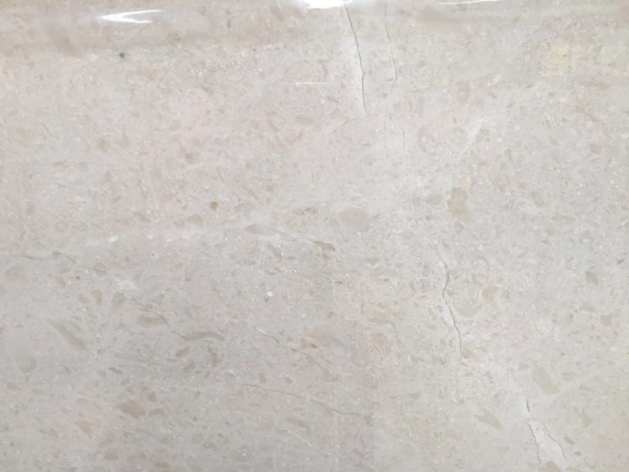 Popular Natural Albanian Beige Marble Slab and Tile for Hotel Wall Floor Decorate