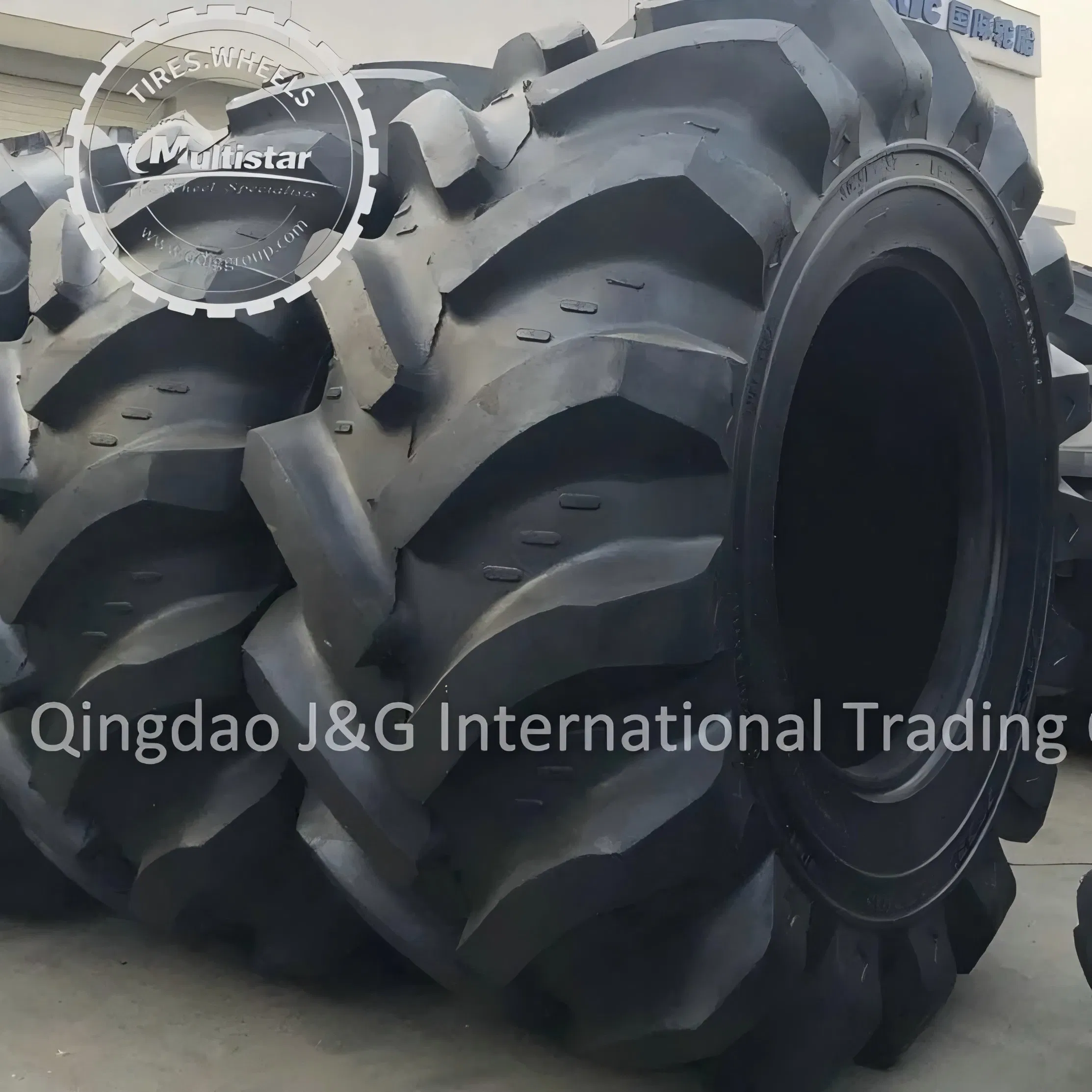 Forestry LS-2 Steelflex Terra Flotation Tire