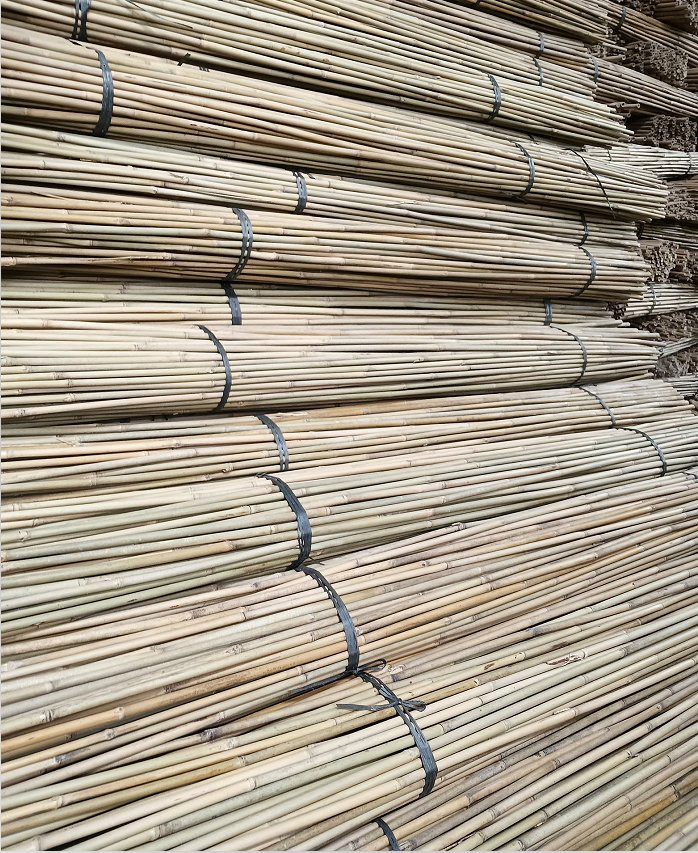 Tonkin Bamboo Poles Used for Flower Racks on Garden Farms/Bamboo Rods Straight