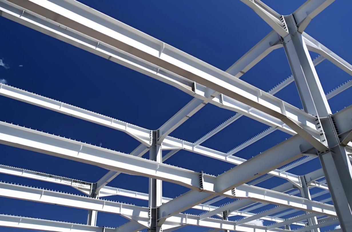 Eco-Friendly Prefabricated Durable Livestock & Poultry Building Steel Structure