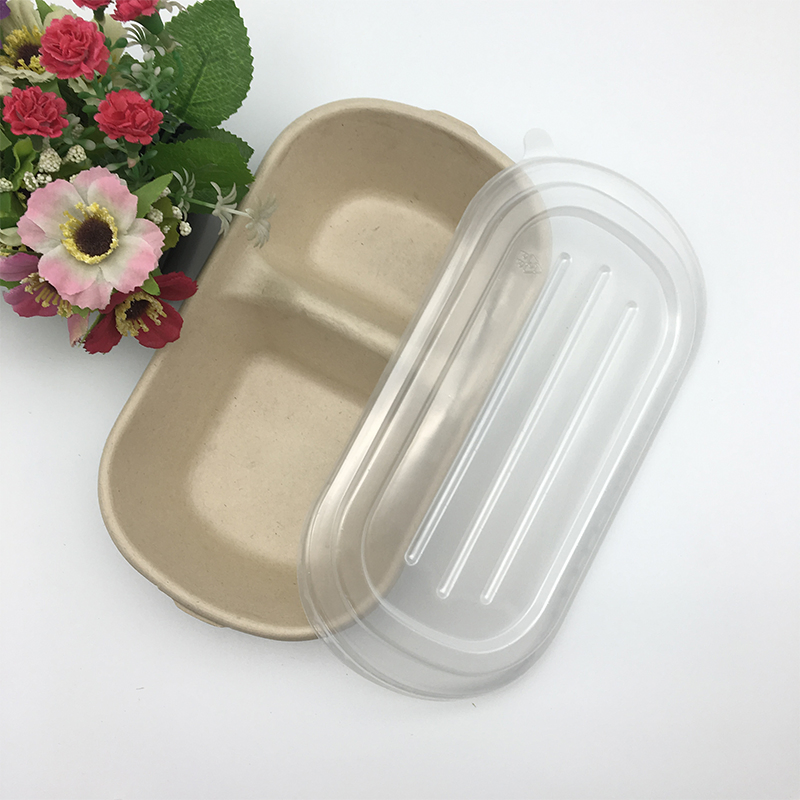 2 Compartment Bagasse Salad Bowl with Spoon and Fork