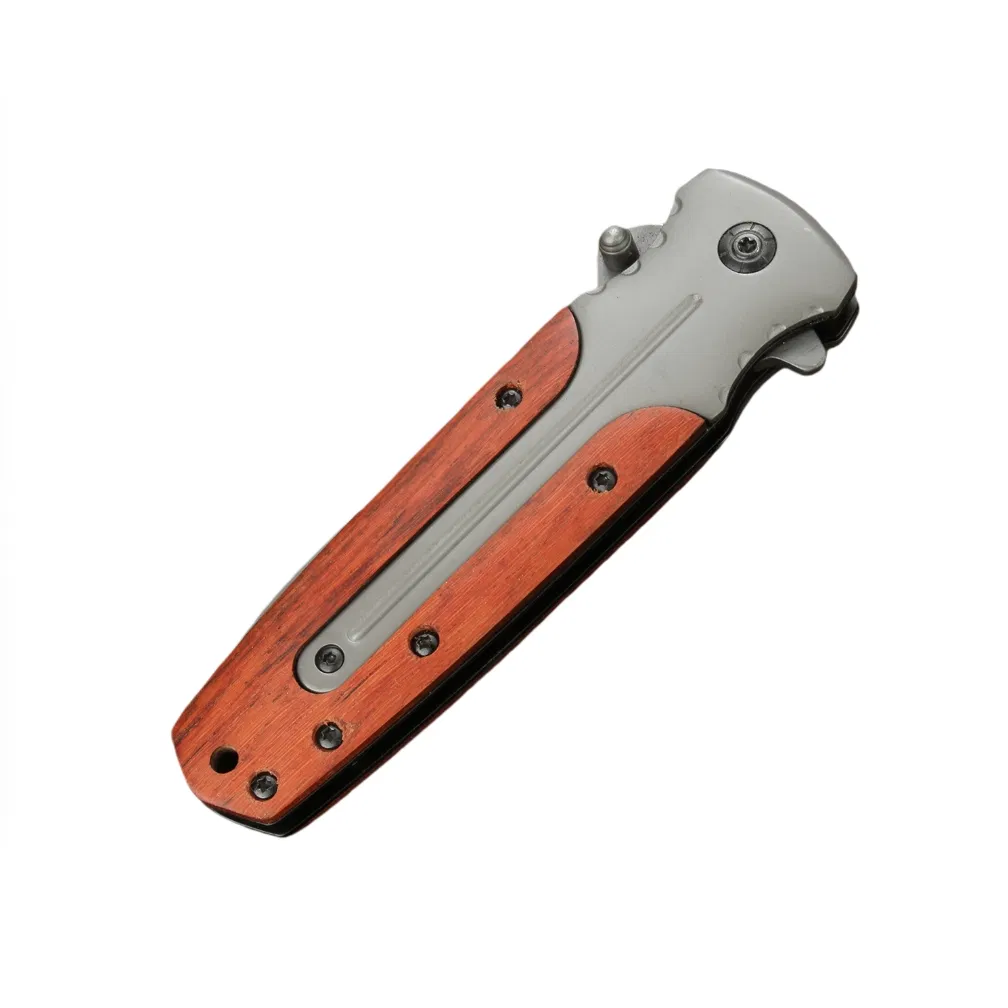 Folding Knife Outdoor Portable Fruit Knife