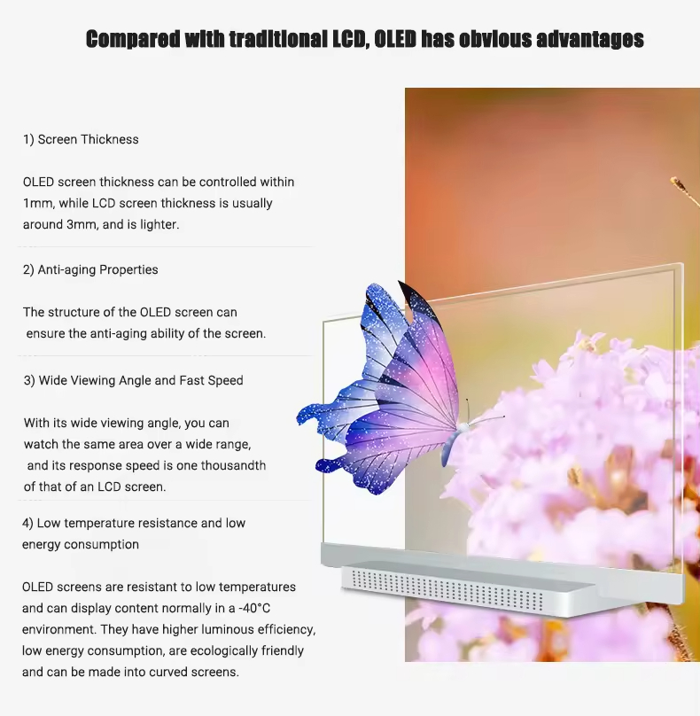 Indoor 55 Inch Touch Screen OLED Display Transparent OLED Screen Kiosk