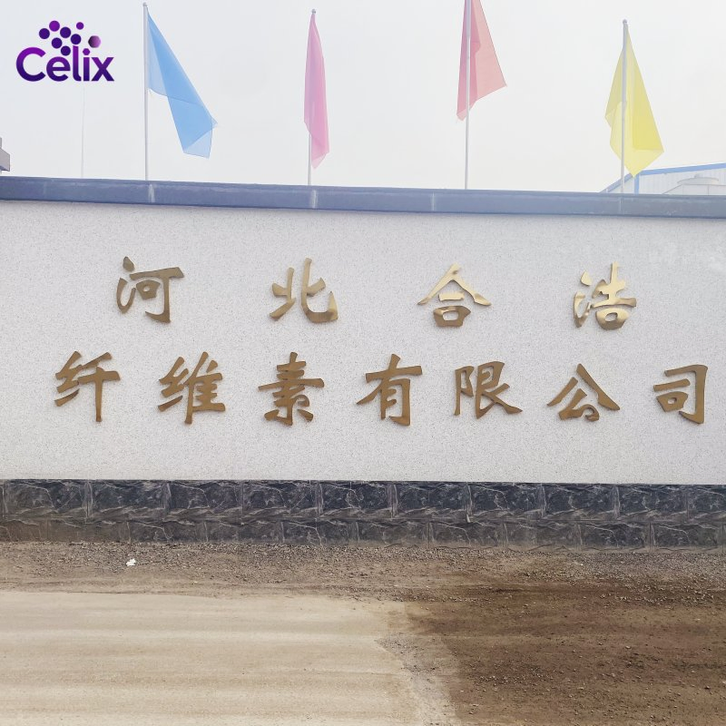 China Manufacturer New Products Looking for Distributor Good Plasticity Rdp for Wall Putty