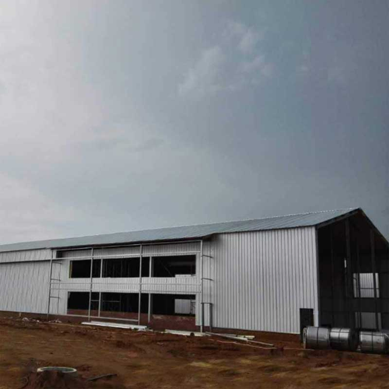 Energy-Efficient Prefabricated Steel Structure Cattle Shed House Cow Housing