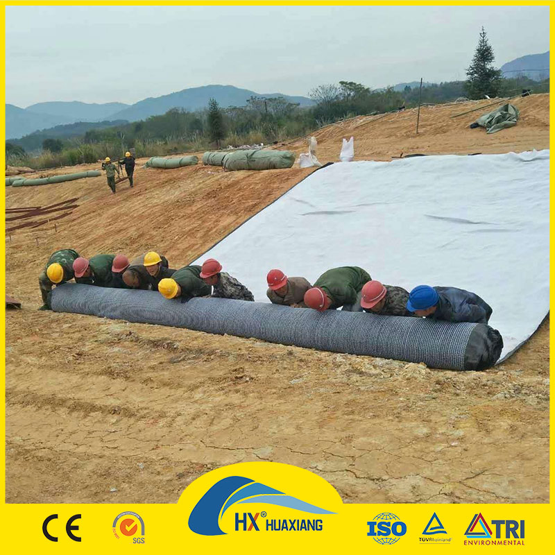 Geosynthetics Clay Liner Gcl Prevent Water Leakage in Petrochemical with Factory Price