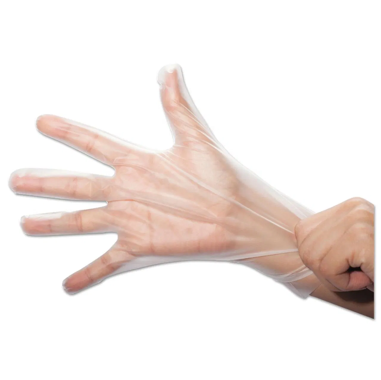 Disposable TPE Gloves for Food Service