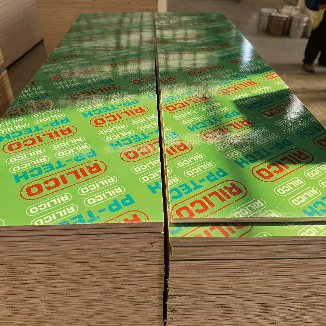 Anti-Corrosion Rigid Surface PP Film Laminating Green PP Plastic Plywood