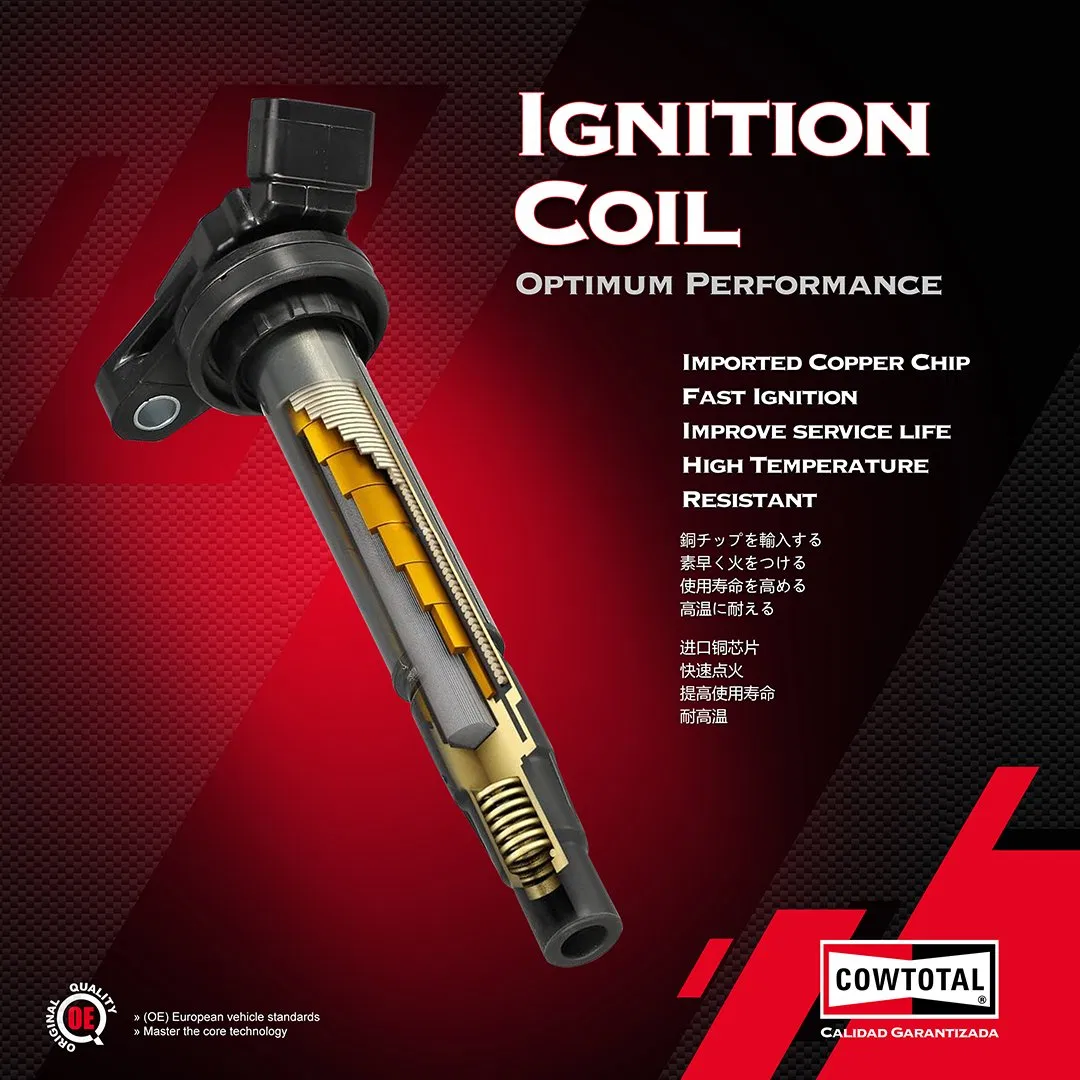 Катушка зажигания Renault Laguna, Megan, Scenic, Duster, Logan, Sandero