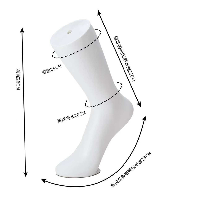 Sock Model Display Plastic Women Foot Model White Foot Mannequin Shoe Stretcher for Retail Socks Sandals Jewelry Ankle Chain Display Prop