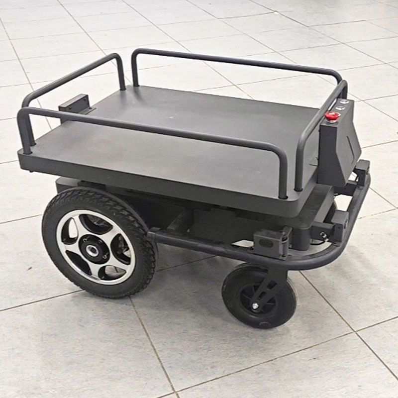Industrial Intelligent Following Robot: Automatic Following & Load-Carrying, Efficient Auxiliary Operation