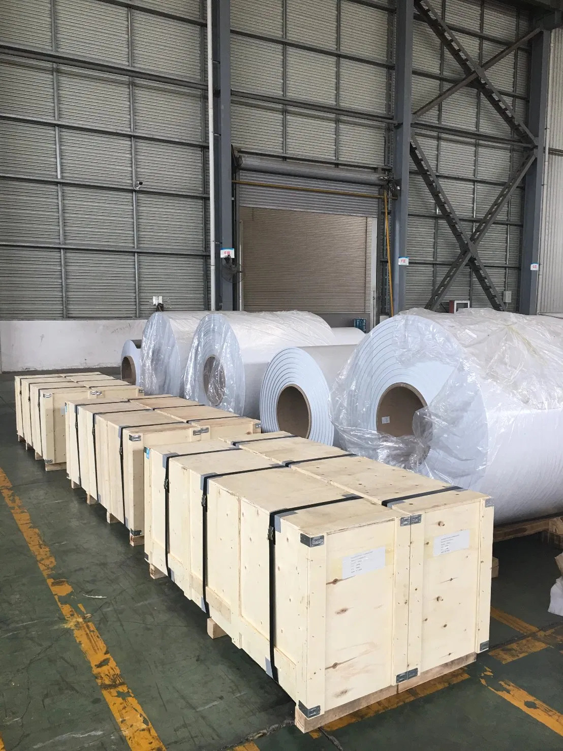 Steel Sheet for PCM & Pre-Painted Steel Sheet