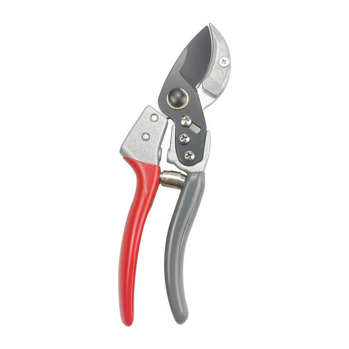 High - Performance Precision Pruning Shears for Delicate Gardens and Intricate Pruning Jobs