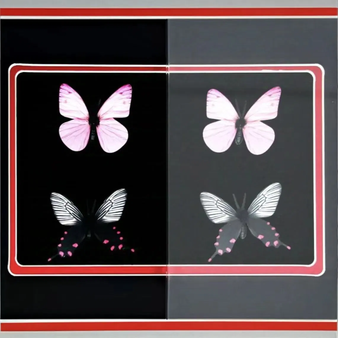 Hot Sale 3mm, 4mm, 5mm, 6mm, 8mm 10mm Anti Reflective Glass