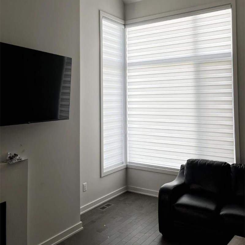 Bedroom Living Room Day and Night Dual Shade Motorized Shades Zebra Blinds Blinds for Windows