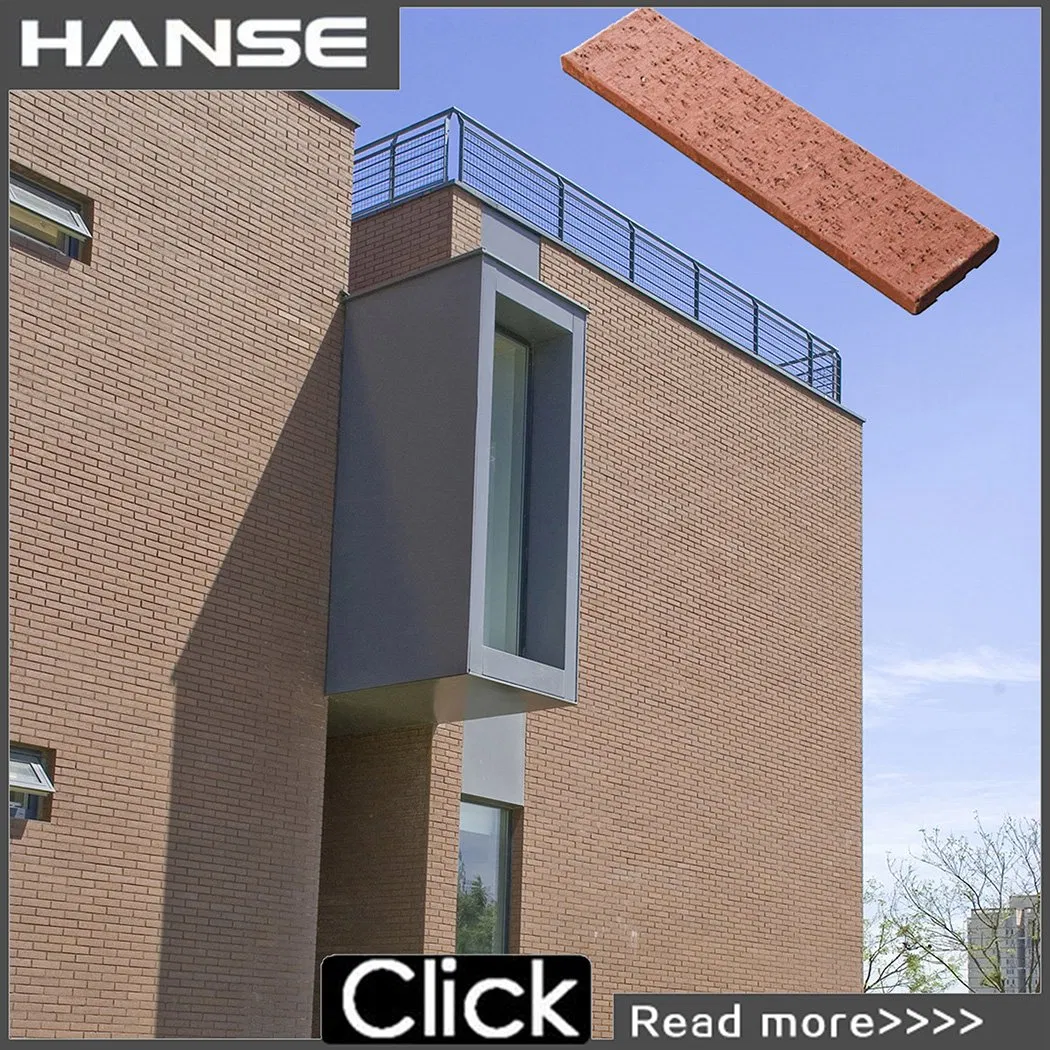 Red Lion Exterior Wall Brick Exterior Wall Cladding Dry Hanging Clay Bricks Terracotta Brick Type Tiles Matte Clay Backyard Brick Wall