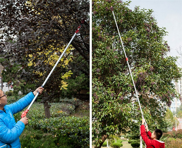 Long Handle Garden Trees Pruning Shears with Saw for Sale